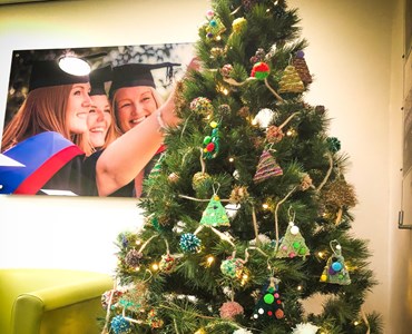 College christmas tree with graduation photo hung on the wall in the background.