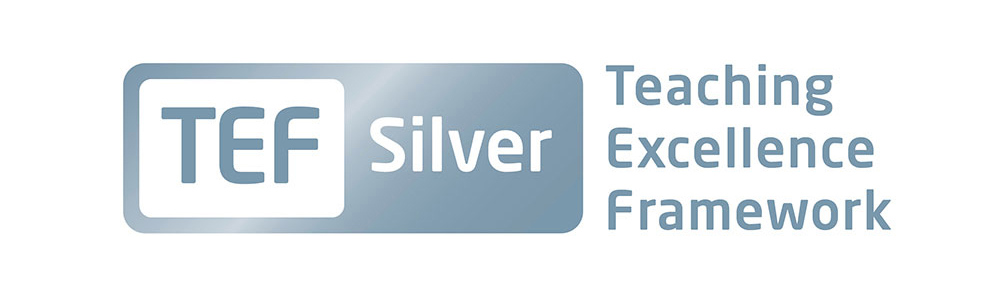 TEF Silver Logo