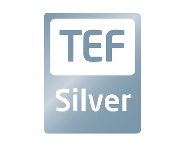 TEF Silver Logo