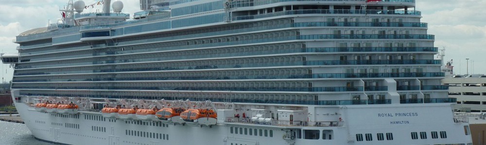 Large cruise ship