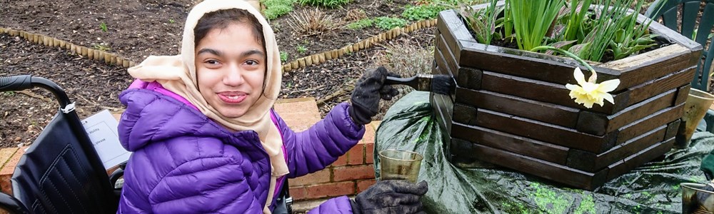 Female student wearing a hijab, smiling and sat in her wheelchair whilst painting a wooden planter holding daffodils.