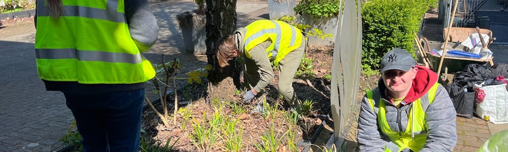 HoW College students on work experience at County Hall gardening 
